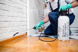 Professional Pest Control in Natchitoches, LA